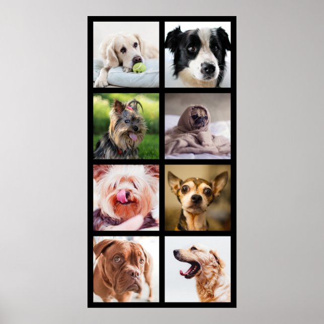 Niedliche & lustige Hunde Foto Collage Poster 2 (Vorne)