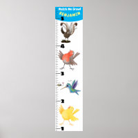 Niedliche lustige Vögel Cartoon Poster