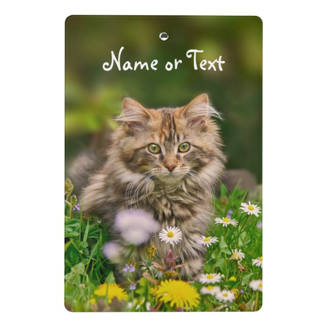Niedliche Maine-Waschbär-Kätzchen-Katzen-Blume - Mini Klemmbrett (Rückseite)
