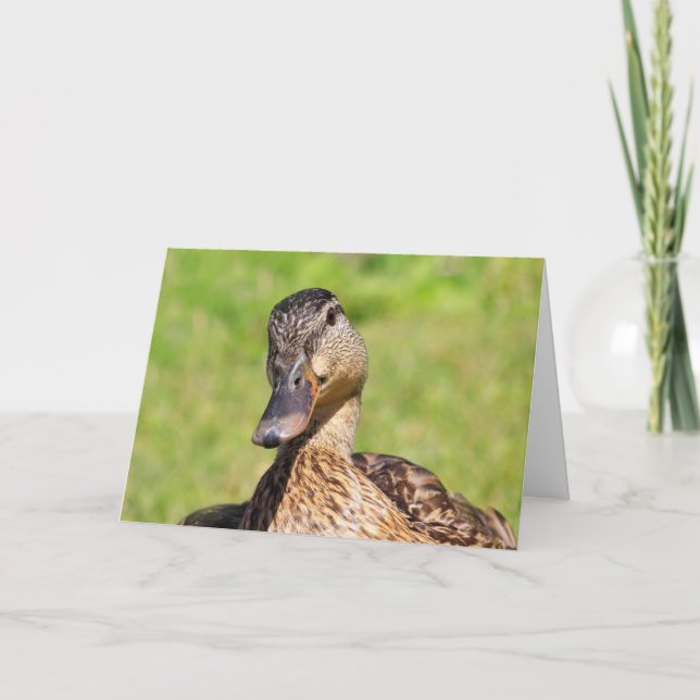 Niedliche Mallard Get Well Card Karte (Vorderseite)