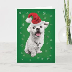 Niedliche maltesische Terrier mit Weihnachtsmannmü Feiertagskarte