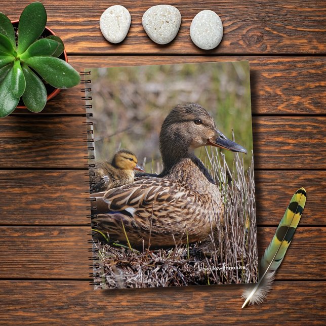 Niedliche Mama Chillin' Mallard Duck & Baby Duckli Notizblock (Chillin' Mallard Mom and Baby Journal Cover Photo)