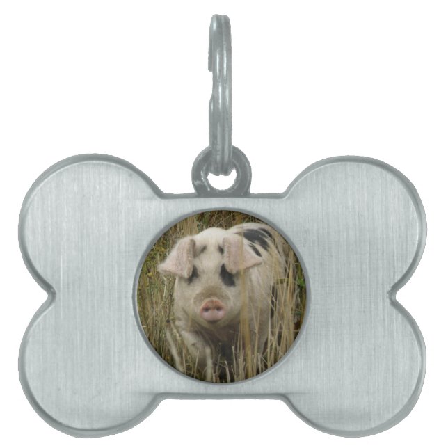 Niedliche Markierung für Schweinefleisch Tiermarke (Vorderseite)