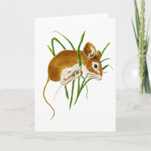 Niedliche Mäuse, Wasserfarbe Tierart der Maus Karte