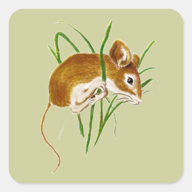 Niedliche Mäuse, Wasserfarbe Tierart der Maus Quadratischer Aufkleber (Vorderseite)