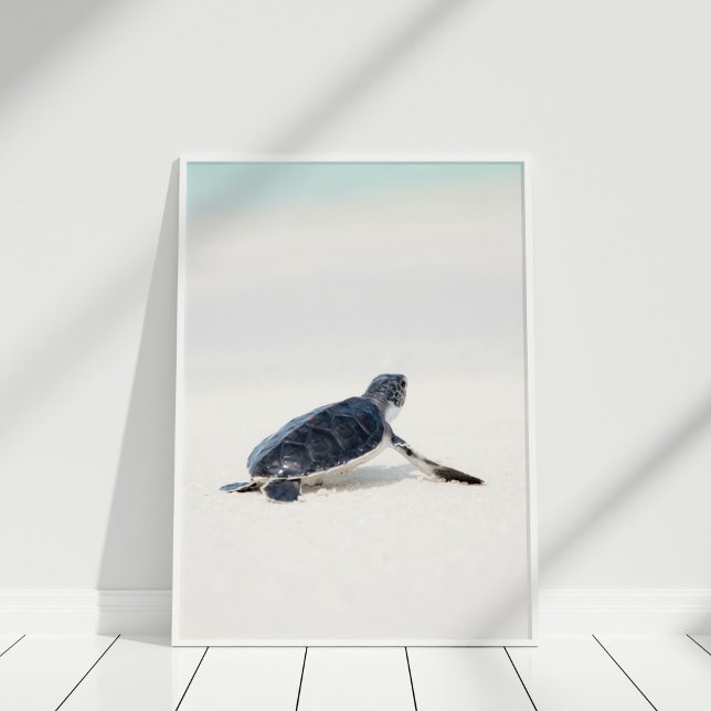 Niedliche Meeresschildkröte am Strand Poster (Cute Baby Sea Turtle on the Beach Poster in white frame on white floor.)