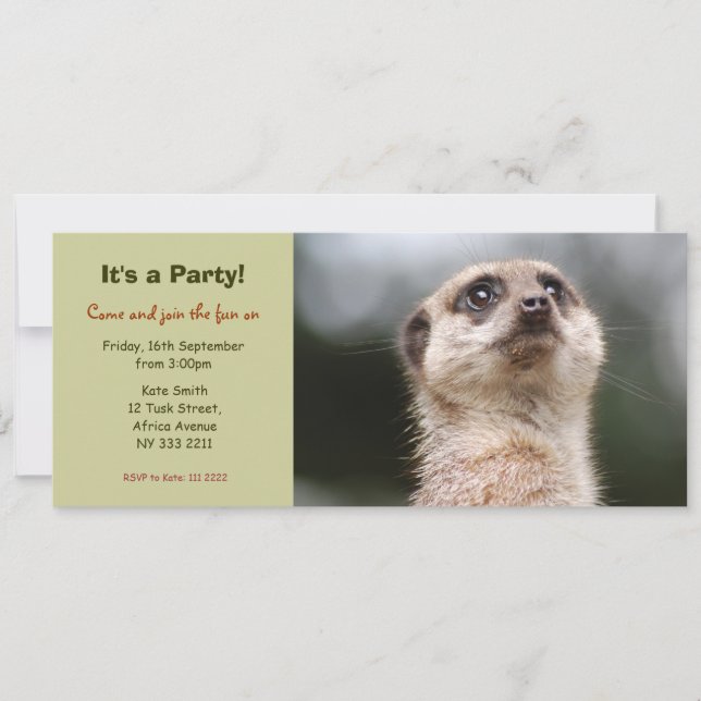 Niedliche Meerkat Party Einladung (Vorderseite)