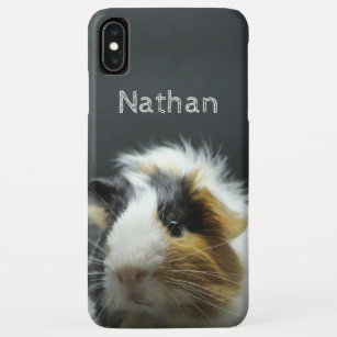 Niedliche Meerschweinchen-Tafel personalisiert Case-Mate iPhone Hülle