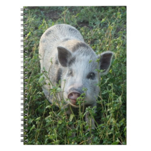 Niedliche Mini-Juliana-Schweinefleisch Notizblock