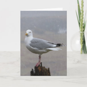 Niedliche Möwe auf hölzernem Pfosten Landschaft Ne Karte