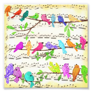 Niedliche Musical Birds Symphony - Happy Song Fotodruck