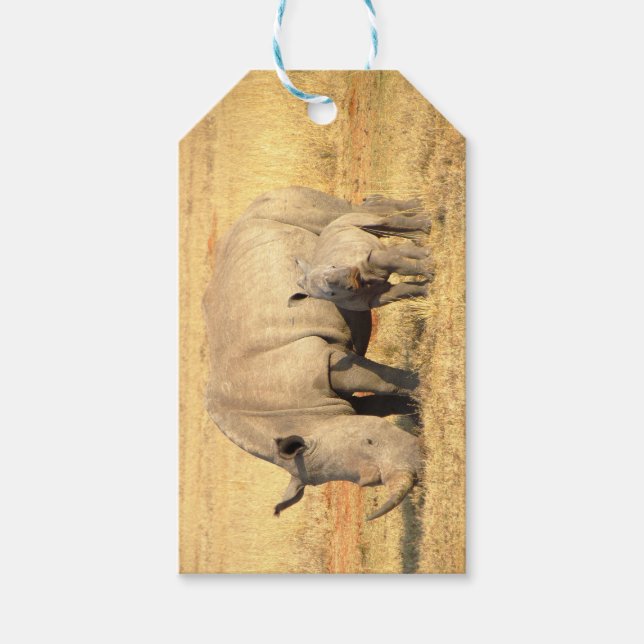 Niedliche Nashörner in Afrika Geschenkanhänger (Vorderseite)