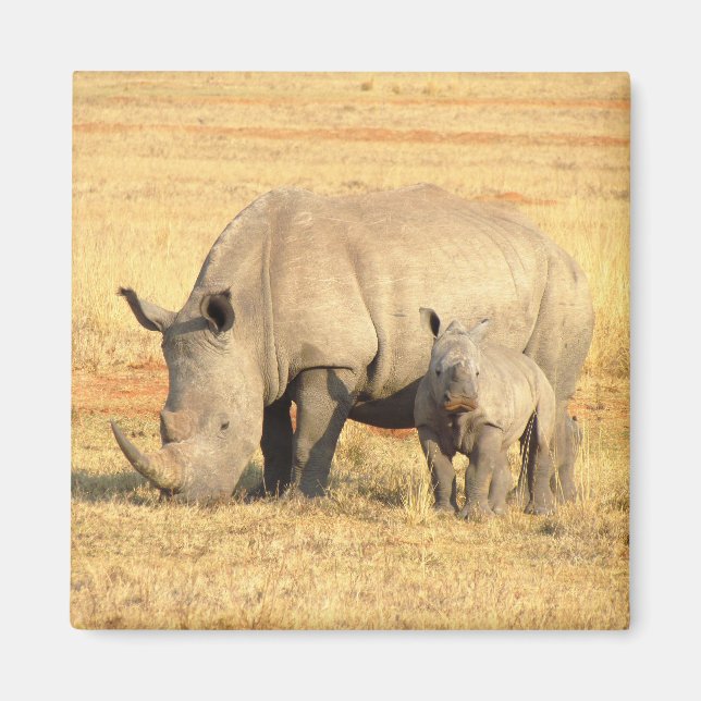 Niedliche Nashörner in Afrika Magnet (Vorne)