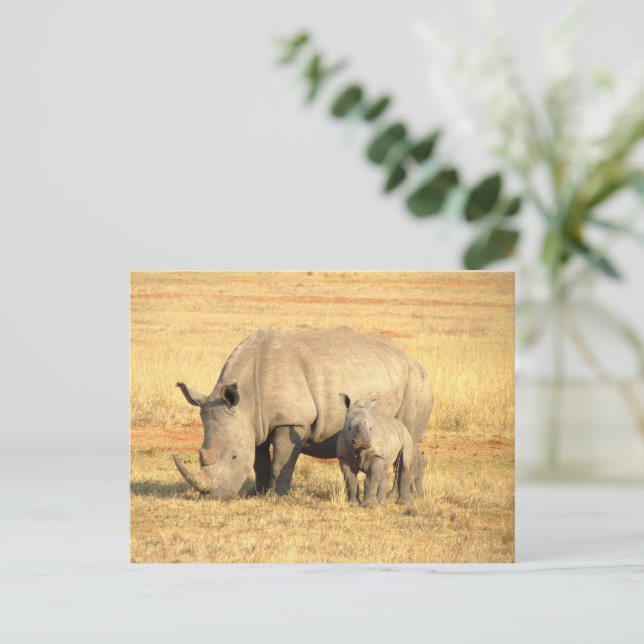 Niedliche Nashörner in Afrika Postkarte (Stehend Vorderseite)