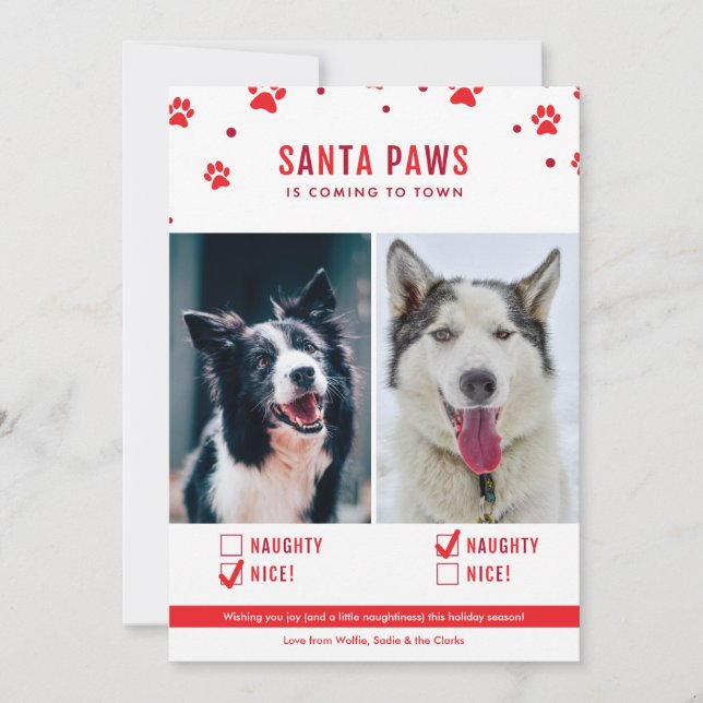 Niedliche Naughty oder Nice Two Dog Weihnachten Fo (Vorderseite)