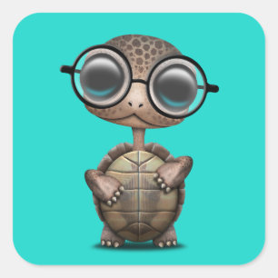 Niedliche Nerdy Schildkröte-tragende Gläser Quadratischer Aufkleber