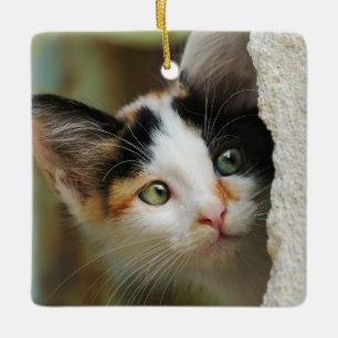 Niedliche, neugierige Katze mit neugierigen Augen Keramikornament