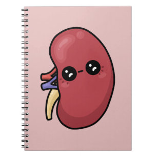 Niedliche Niere - Biologie des Menschen Notizblock