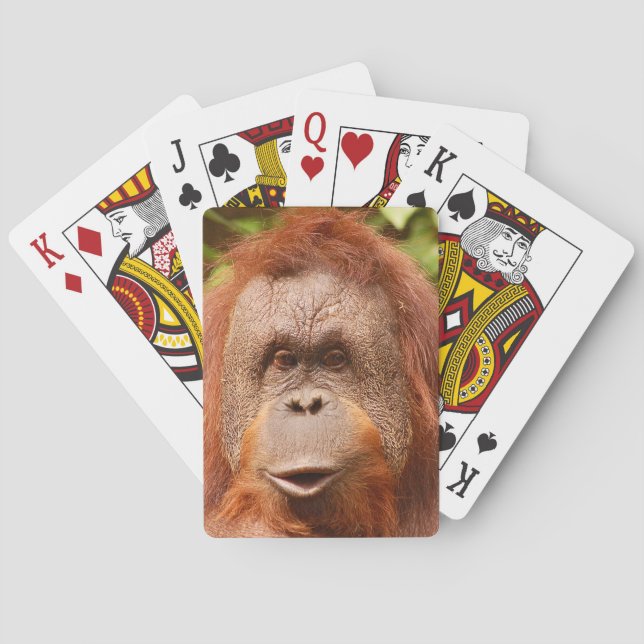Niedliche Orang-Utan Spielkarten (Rückseite)