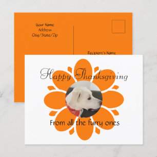 Niedliche Orange Blume Mum Frame für Haustiere Fot Postkarte