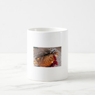 Niedliche Orange Cat Tasse
