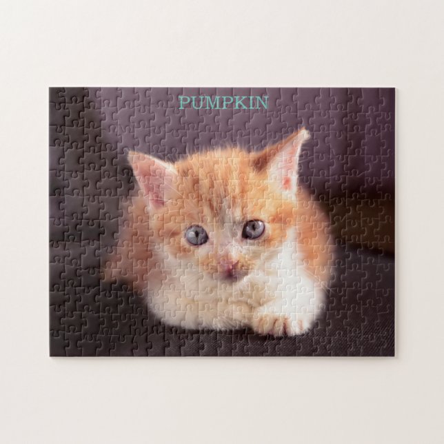 Niedliche Orangenkatze auf schwarz Ottoman Orange  (Horizontal)
