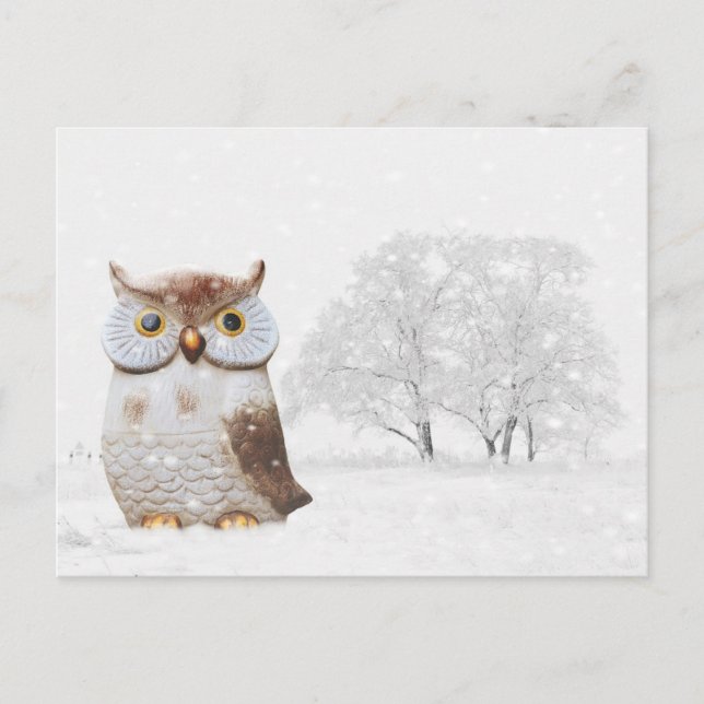 Niedliche Owl Wintry Snow Weihnachtskarte Feiertagspostkarte (Vorderseite)