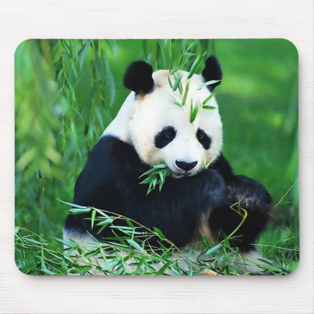Niedliche Panda-Mausunterlage Mousepad (Vorne)