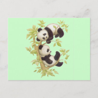 Niedliche Pandas Postkarte