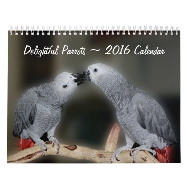Niedliche Papageien Kalender (Titelbild)