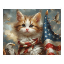 Niedliche patrouillische Katzenwrade in der US-Fla