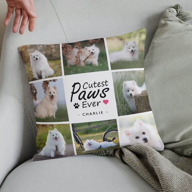 Niedliche Paws je Moderne Niedliche Hundfoto-Colla Kissen (Von Creator hochgeladen)