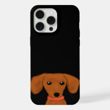 Niedliche Peeking-Dackel | Dackel Hund Welpe Dacke