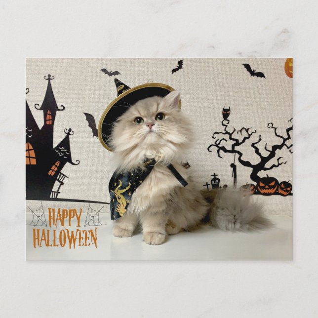 Niedliche persische Katze zu Halloween Feiertagspostkarte (Vorderseite)