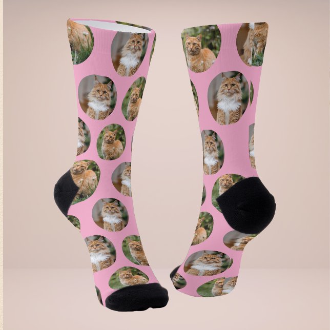 Niedliche Pet 2 Cat Foto Socken (Von Creator hochgeladen)