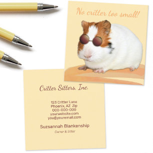 Niedliche Pet Care Guinea Schweinebild Quadratische Visitenkarte