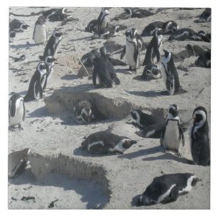 Niedliche Pinguine am Strand Keramik Tile Fliese