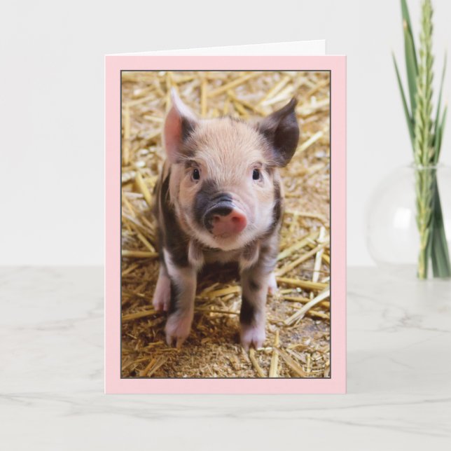 Niedliche Pink Pink Geburtstagskarte Karte (Vorderseite)