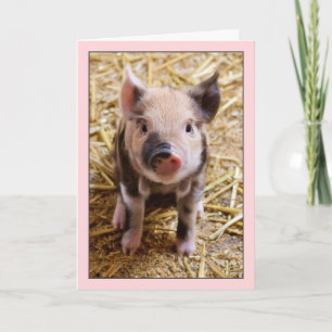 Niedliche Pink Pink Geburtstagskarte Karte