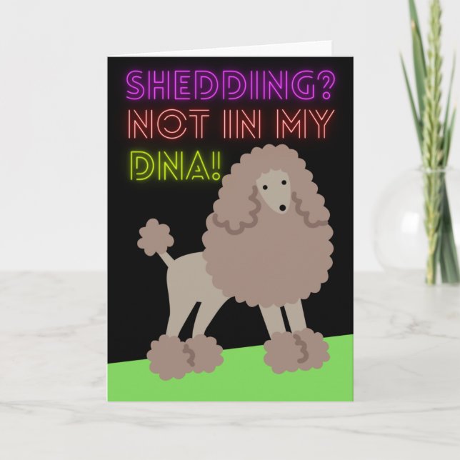Niedliche Poodle-Shedding nicht in meiner DNA Karte (Vorderseite)