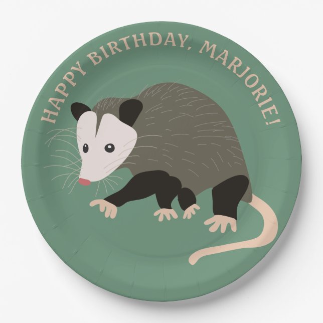 Niedliche Possum Illustration Light Green Personal Pappteller (Vorderseite)