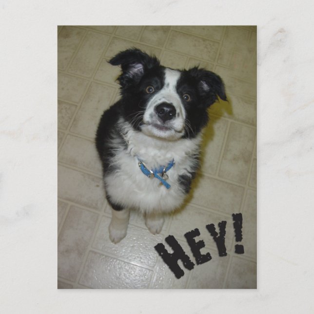 Niedliche Postkarte (Vorderseite)