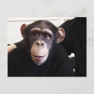 Niedliche Postkarte