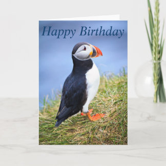 Niedliche Puffin Happy Birthday Grußkarte Karte