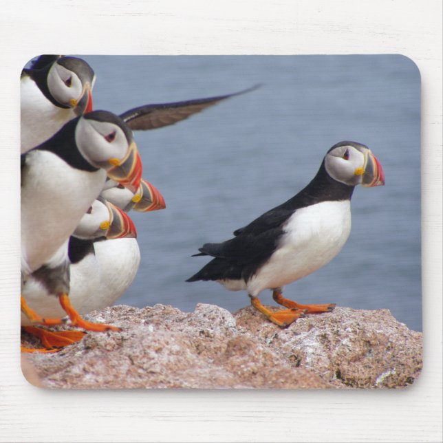 Niedliche Puffins Mousepad (Vorne)