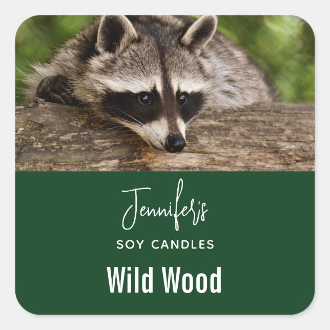 Niedliche Raccoon-Ruhe auf einem Handwerksgeschäft Quadratischer Aufkleber (Vorderseite)