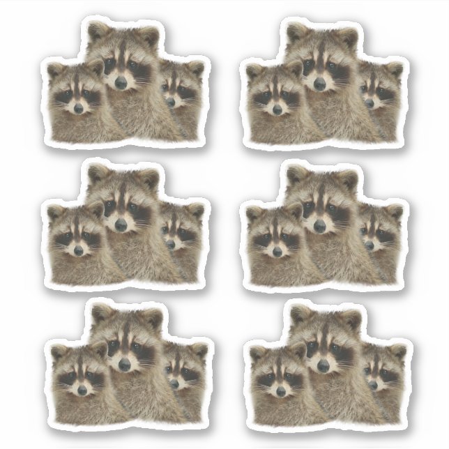 Niedliche Raccoonfamilie Aufkleber (Vorderseite)