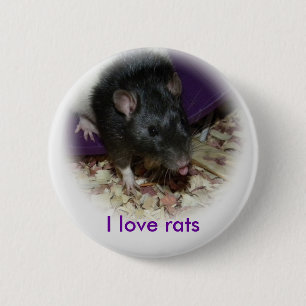 Niedliche Ratte, die heraus sein Zunge-Button Button