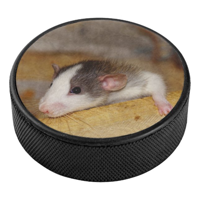 Niedliche Ratte Eishockey Puck (3/4)