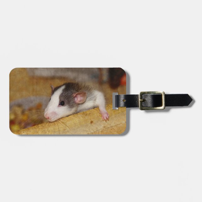 Niedliche Ratte Gepäckanhänger (Vorderseite horizontal)